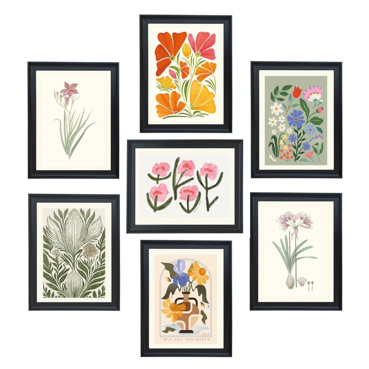 The ⁠Earth Forms Collection