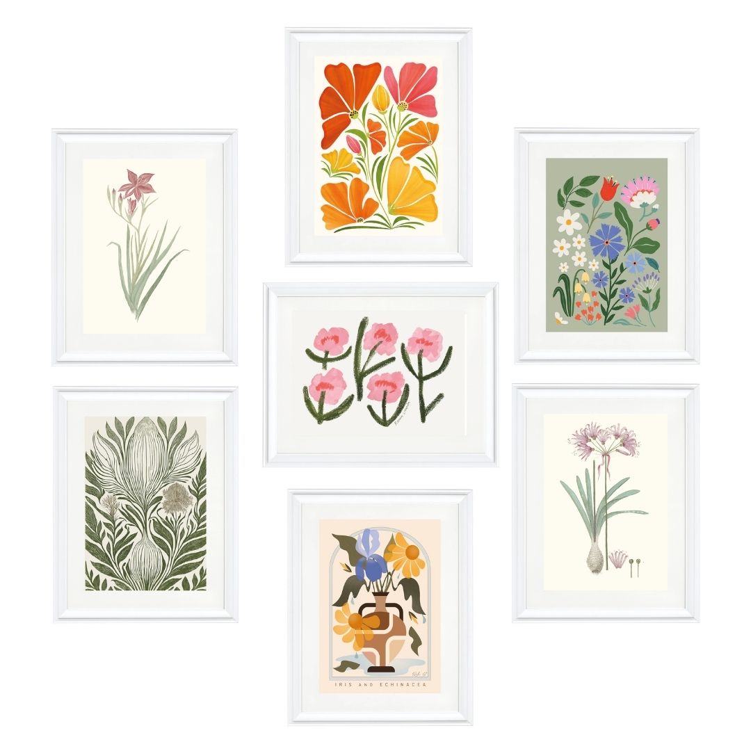 The ⁠Earth Forms Collection