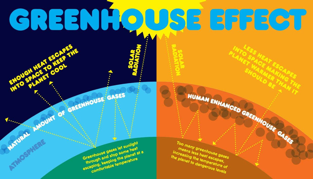 Changing World: Cold data for a warming planet Book