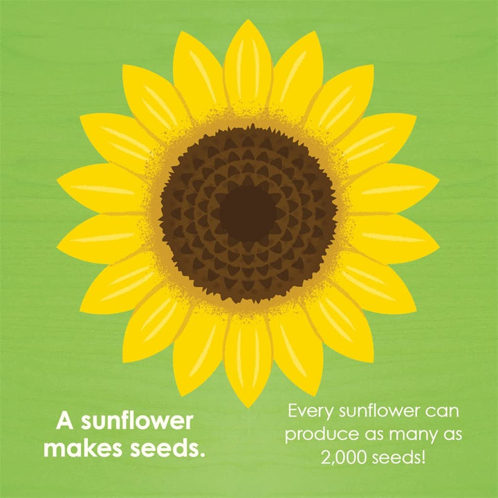 Montessori: Seed Work Book