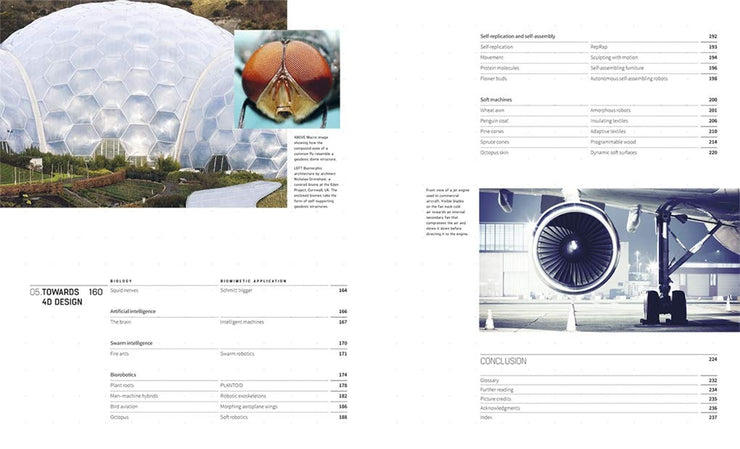 Biomimetics for Designers: Applying Nature's Processes & Materials in the Real World Book