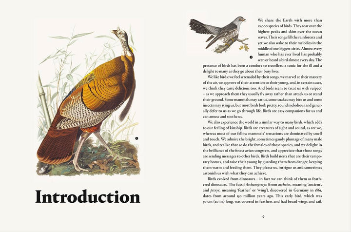 Remarkable Birds Book