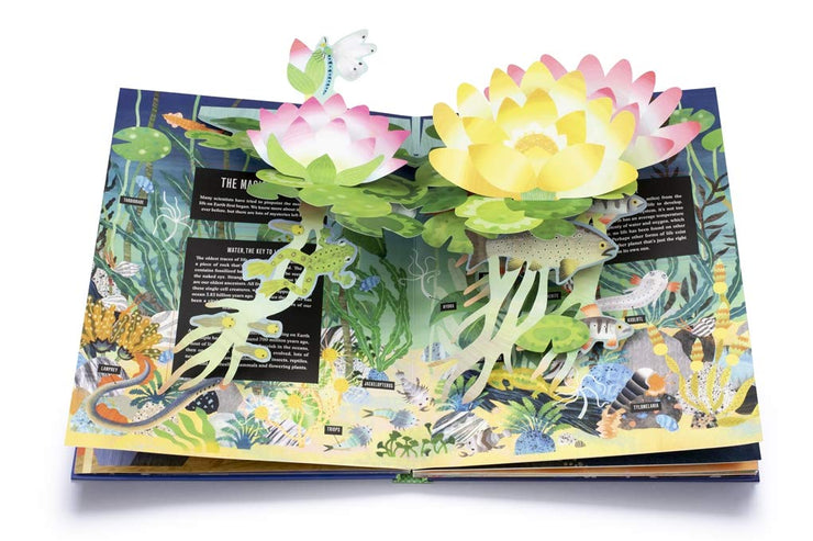 Pop-Up Earth Book