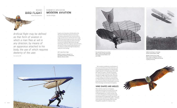 Biomimetics for Designers: Applying Nature's Processes & Materials in the Real World Book