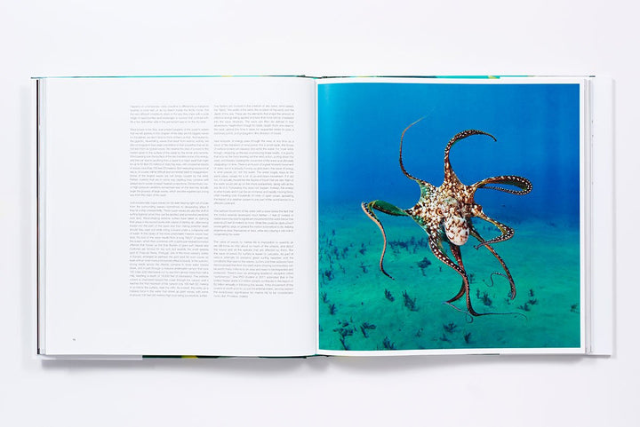 The Life and Love of the Sea Book