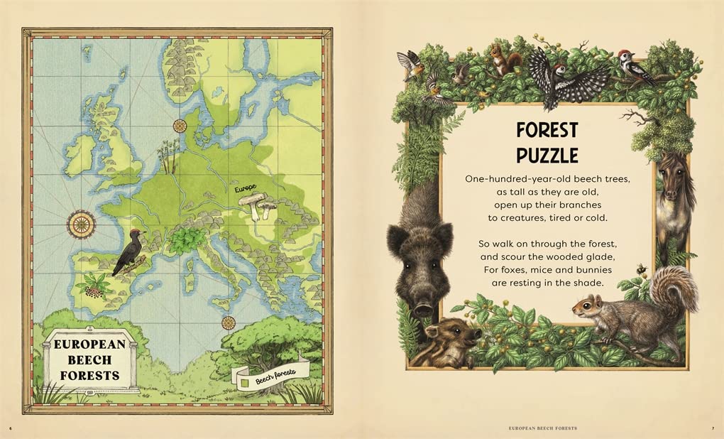 Picture Puzzler: A natural history Book