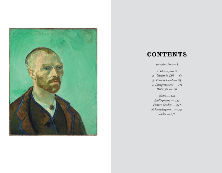 Who Shot Van Gogh?: Facts and Counterfacts About the World?s Most Famous Artist Book