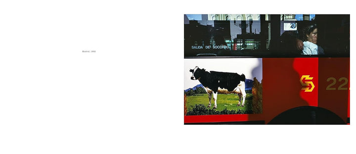 Alex Webb: Dislocations Book