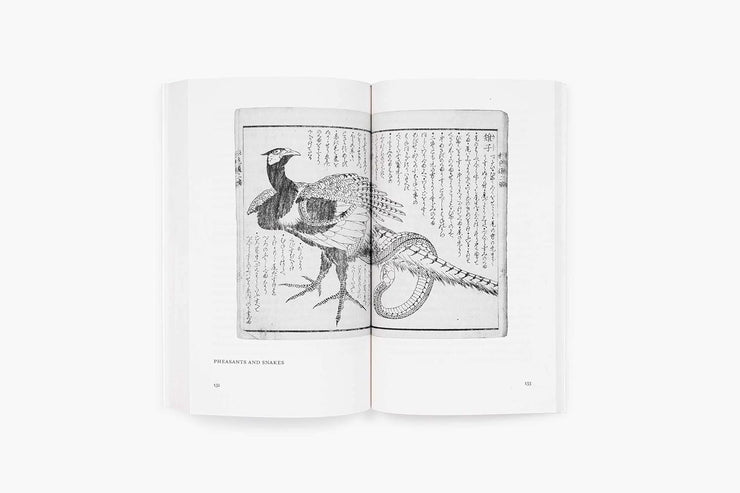 Mad about Painting: Hokusai (Ekphrasis) Book