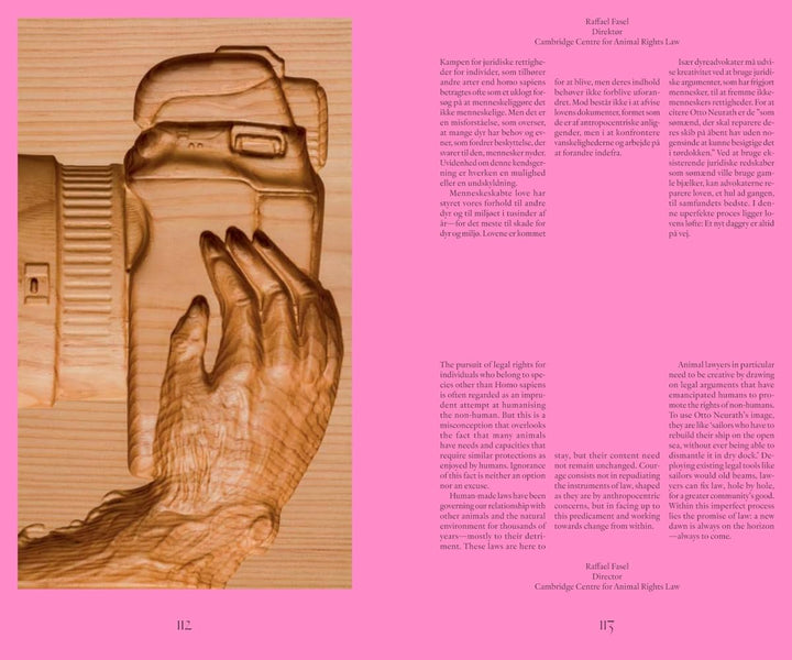 Benandsebastian: Silent Parties: Languages: English, Danish Book