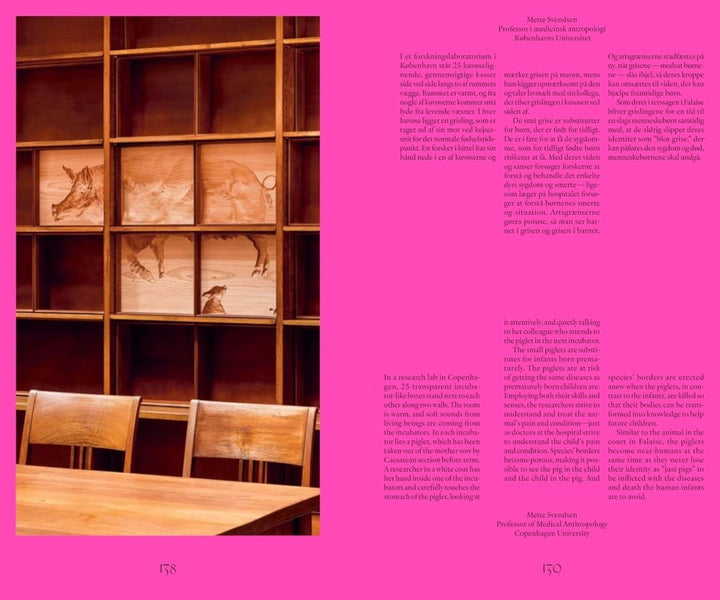 Benandsebastian: Silent Parties: Languages: English, Danish Book