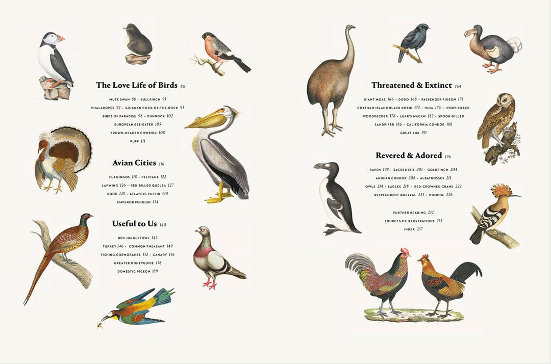 Remarkable Birds Book