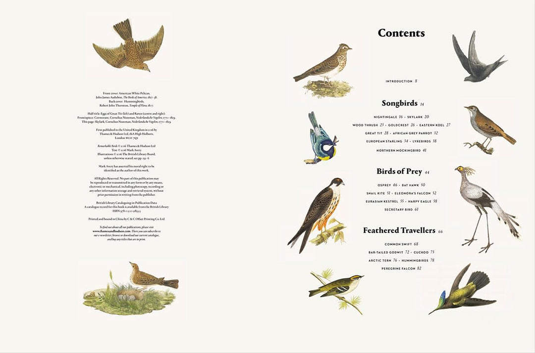 Remarkable Birds Book