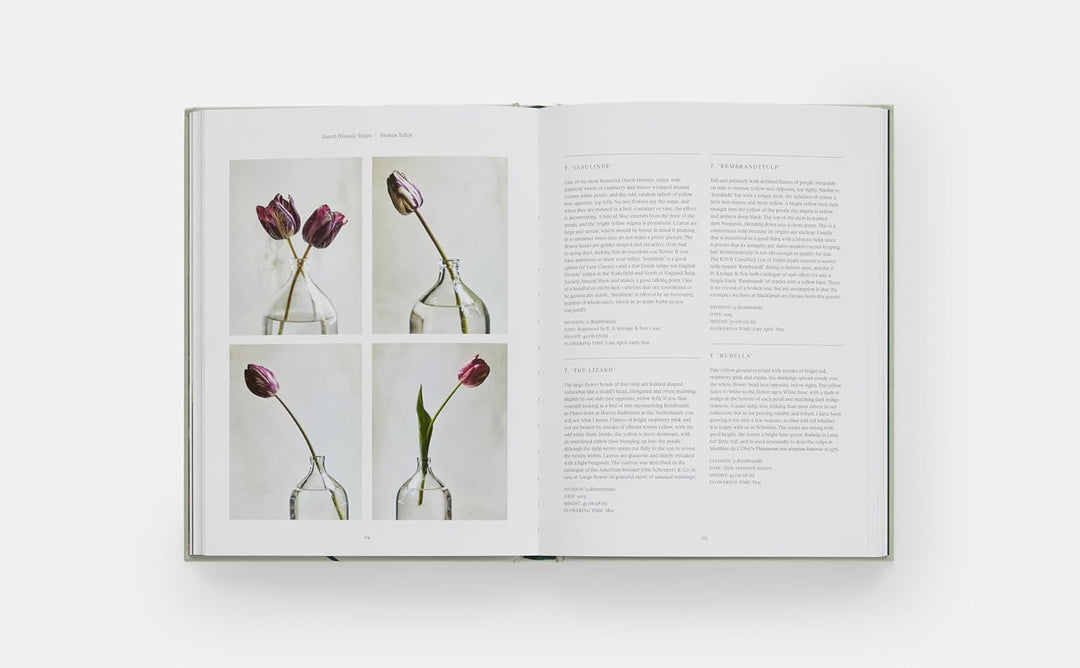 The Tulip Garden: Growing and Collecting Species, Rare and Annual Varieties Book