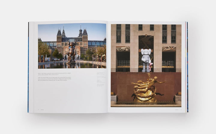 KAWS (Phaidon Contemporary Artists Series) Book