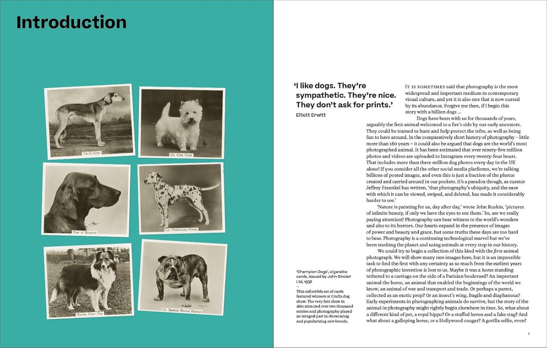 Why We Photograph Animals Book