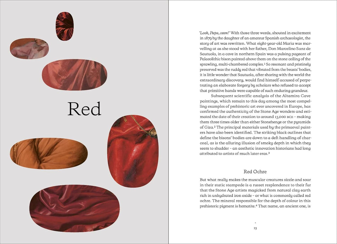 The Art of Colour: The History of Art in 39 Pigments Book