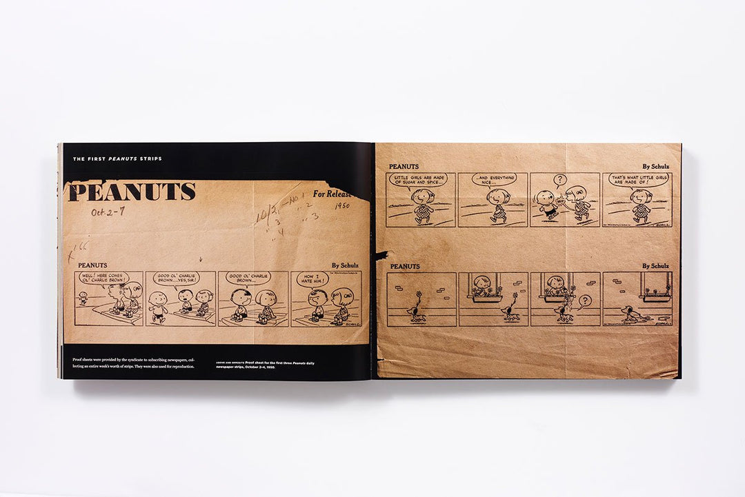 Only What's Necessary: Charles M. Schulz and the Art of Peanuts Book