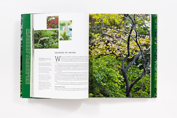 The New Shade Garden: Creating a Lush Oasis in the Age of Climate Change Book