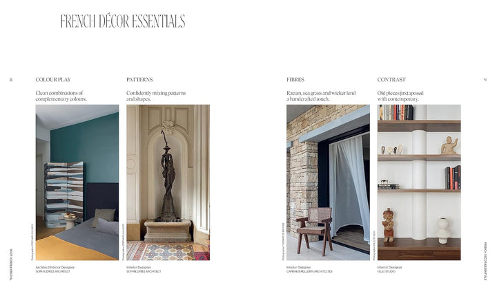 The New French Look: Interiors with a contemporary edge Book