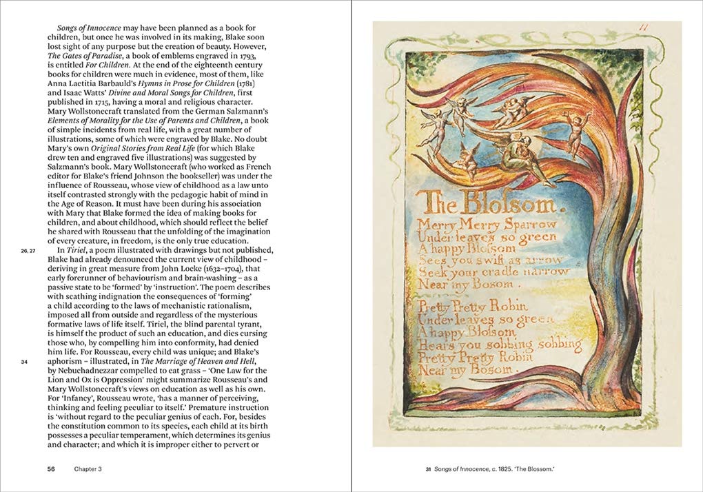 William Blake: A Critical History Book