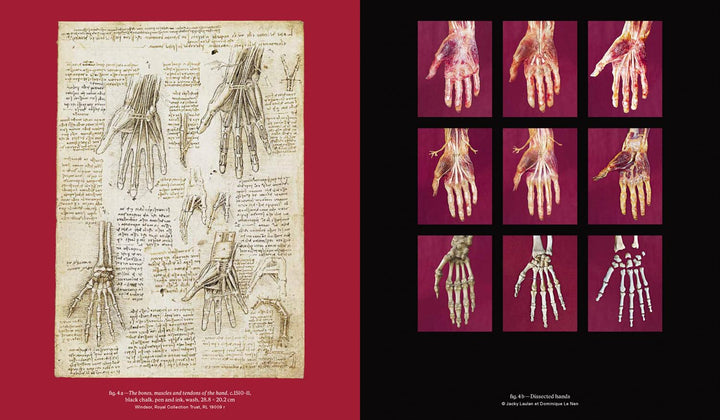 Leonardo da Vinci and Anatomy: The Mechanics of Life Book