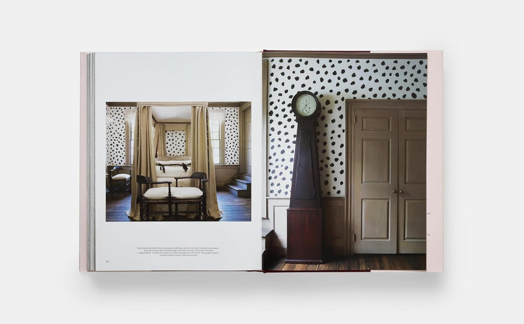 Southern Interiors: A Celebration of Personal Style [A Schumacher Interior Design Book]