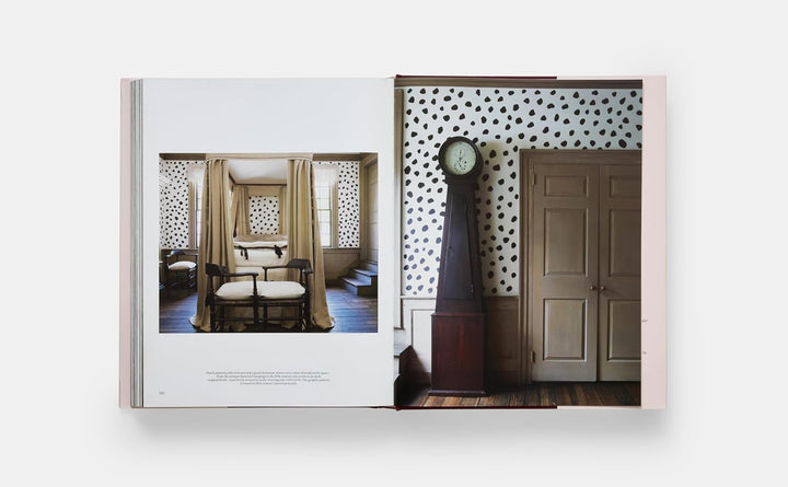 Southern Interiors: A Celebration of Personal Style [A Schumacher Interior Design Book]