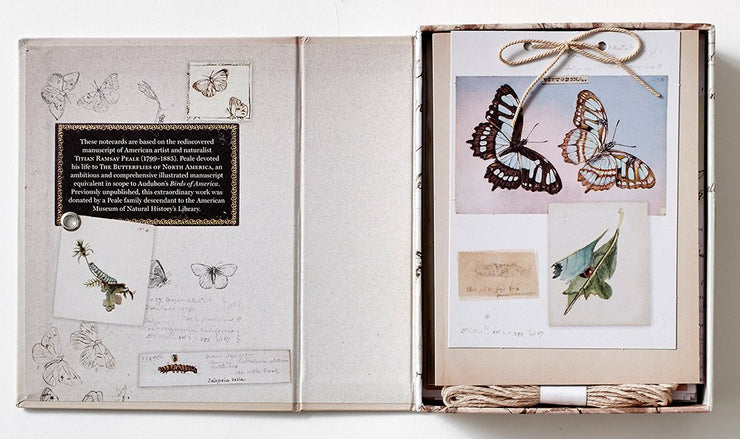 The Butterflies of Titian Ramsay Peale Notecards