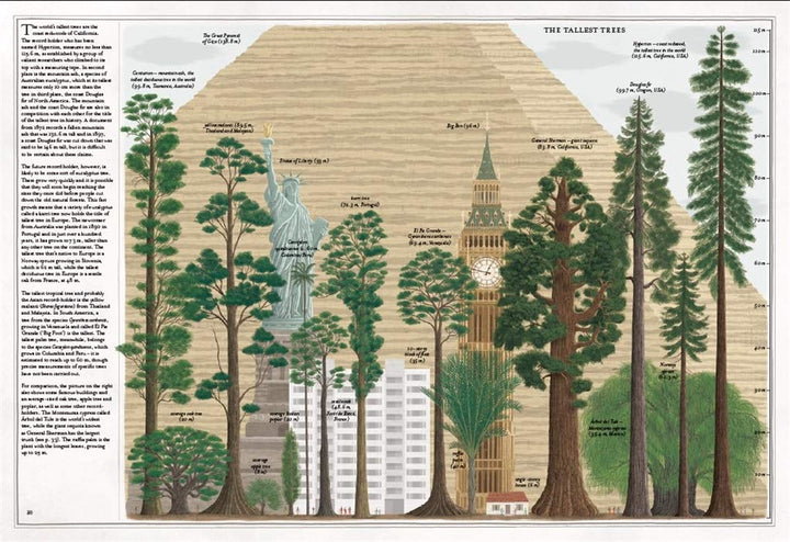 The Book of Trees Book