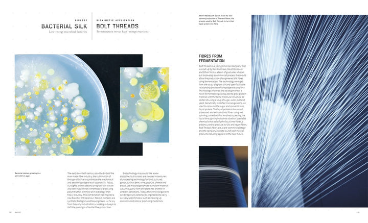 Biomimetics for Designers: Applying Nature's Processes & Materials in the Real World Book