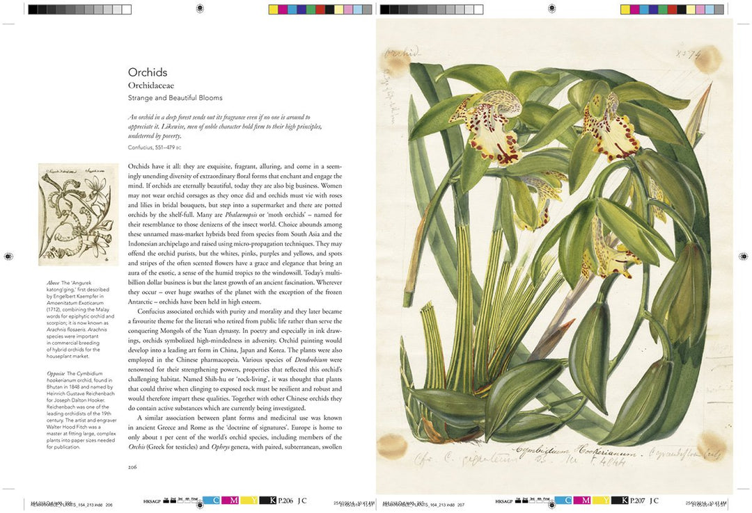 Remarkable Plants Book