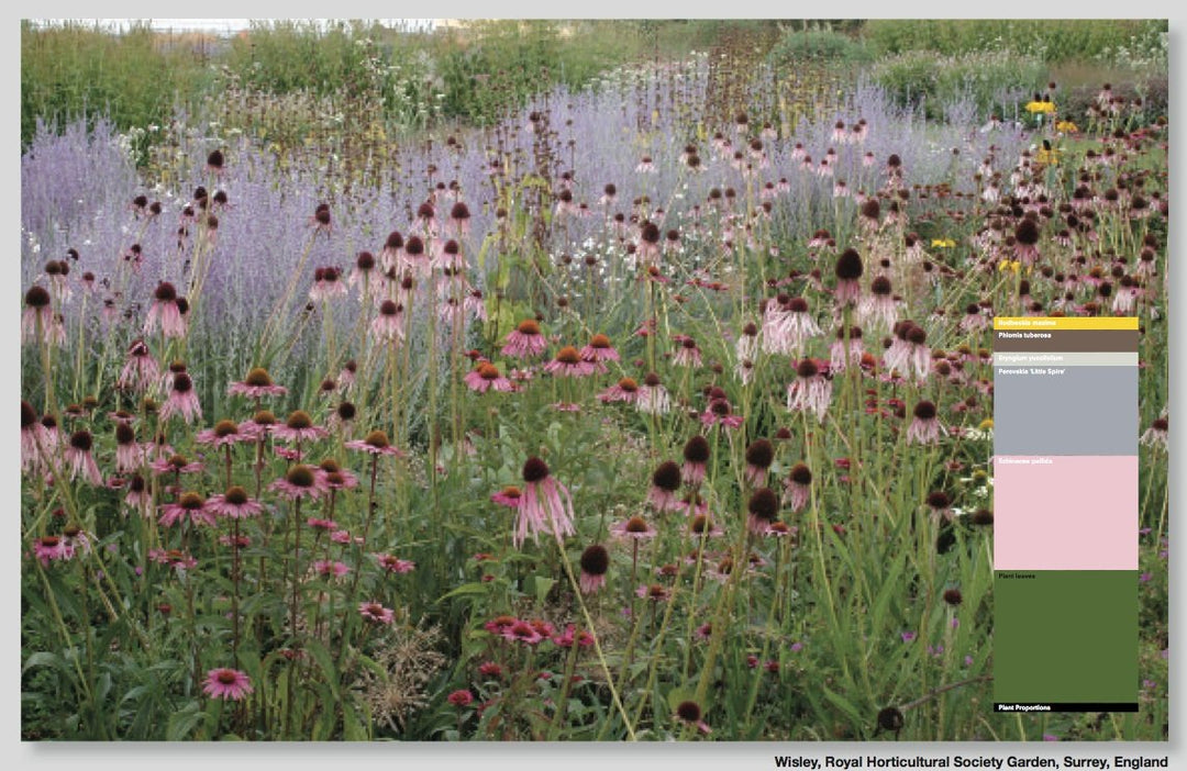 Piet Oudolf: Landscapes In Landscapes Book