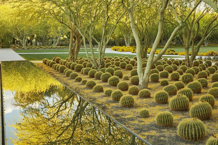 Sunnylands: America's Midcentury Masterpiece, Revised and Expanded Edition Book