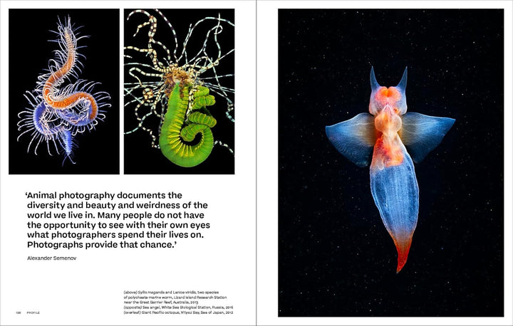 Why We Photograph Animals Book