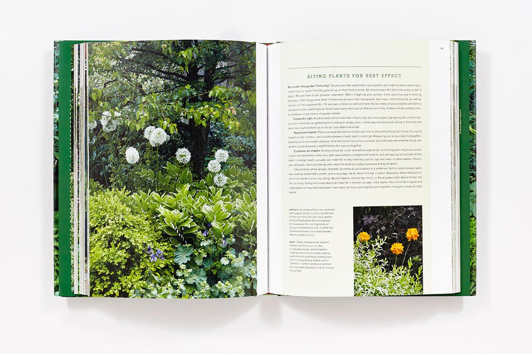 The New Shade Garden: Creating a Lush Oasis in the Age of Climate Change Book