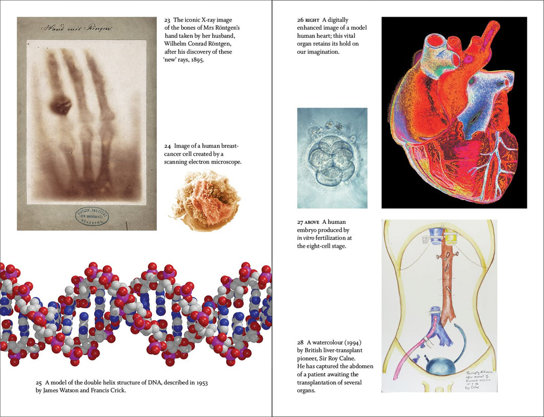 Great Discoveries in Medicine: From Ayurveda to X-rays, Cancer to Covid Book