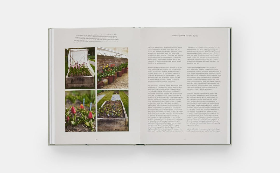 The Tulip Garden: Growing and Collecting Species, Rare and Annual Varieties Book