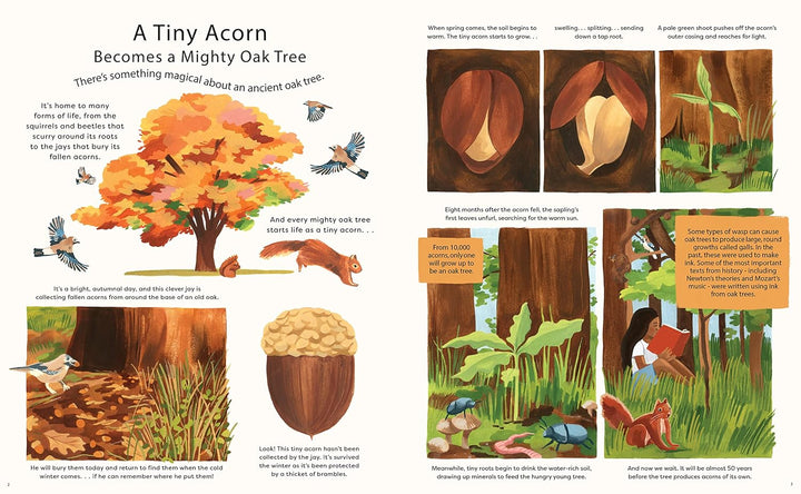 Nature in a nutshell: Watch 40 Natural Wonders Unfold Book