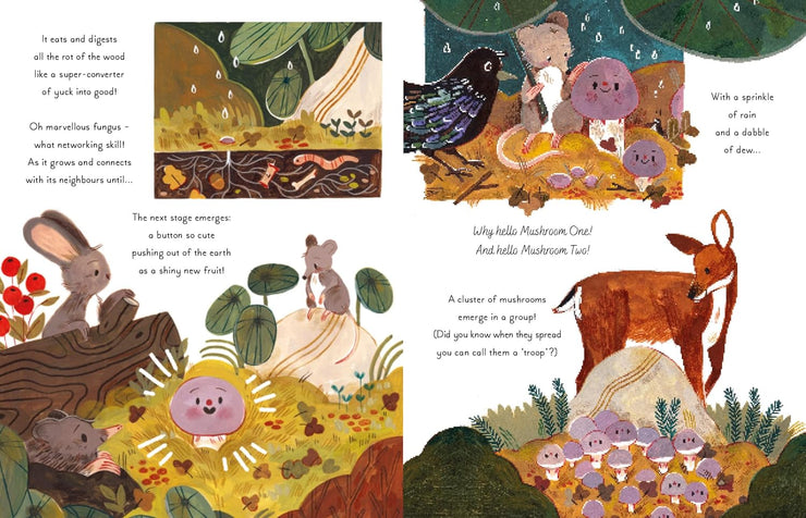 5 Minute Nature Stories: True tales from the Woodland Book