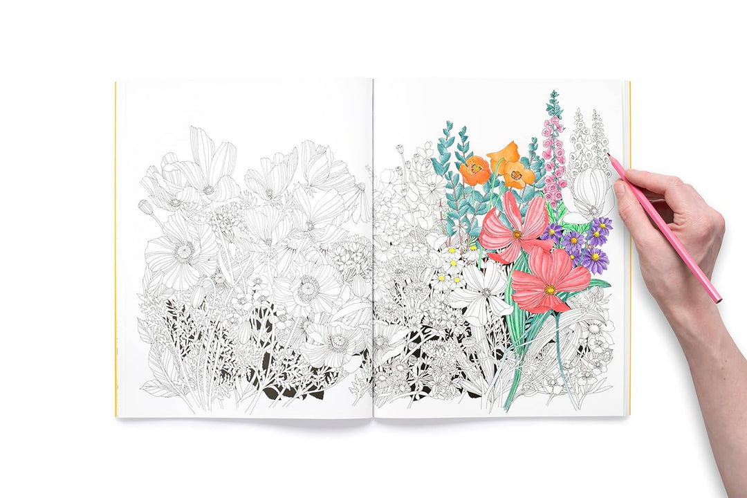 Leila Duly's Beautiful Planet: An Intricate Colouring Book