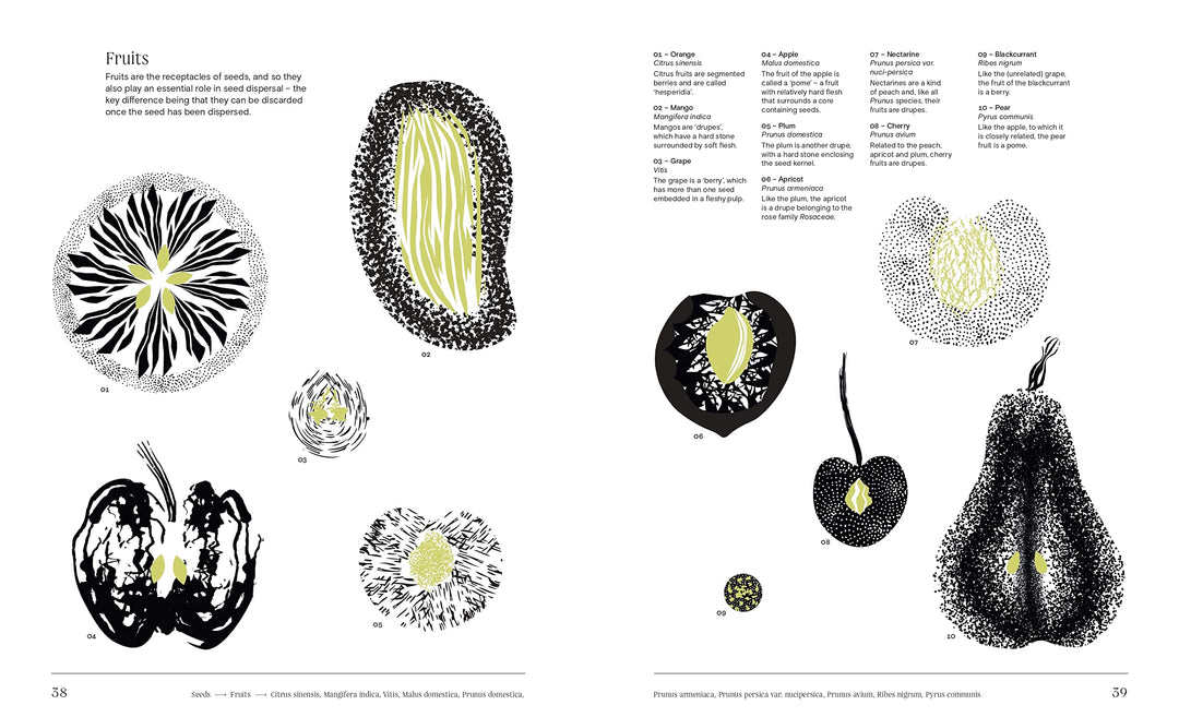 Trees: From Root to Leaf – A Financial Times Book of the Year Book