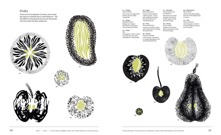 Trees: From Root to Leaf – A Financial Times Book of the Year Book