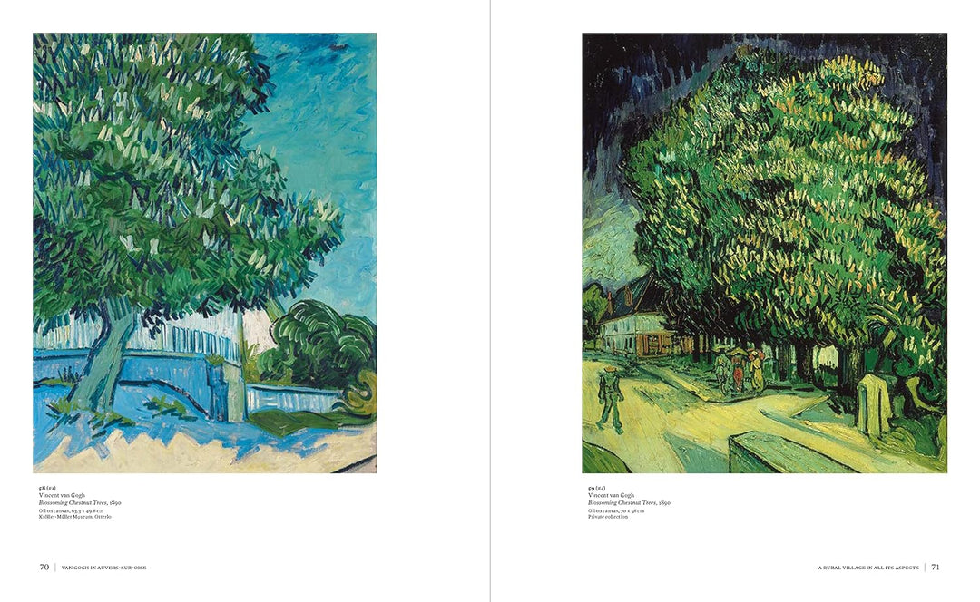 Van Gogh in Auvers-Sur-Oise: His Final Months Book