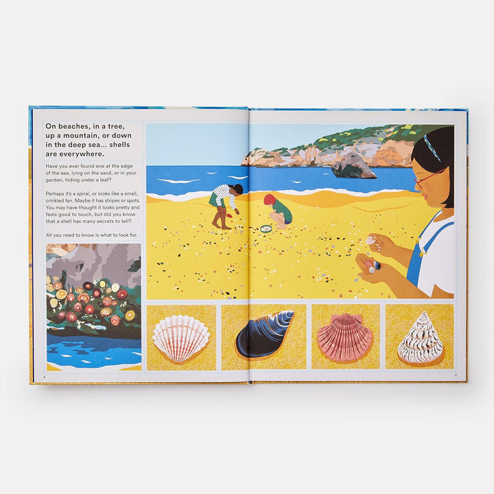 WHAT A SHELL CAN TELL BOOK