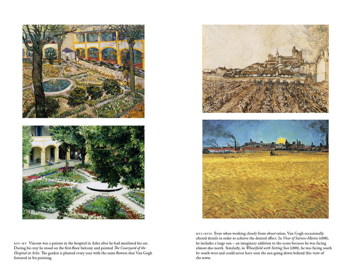 Who Shot Van Gogh?: Facts and Counterfacts About the World?s Most Famous Artist Book