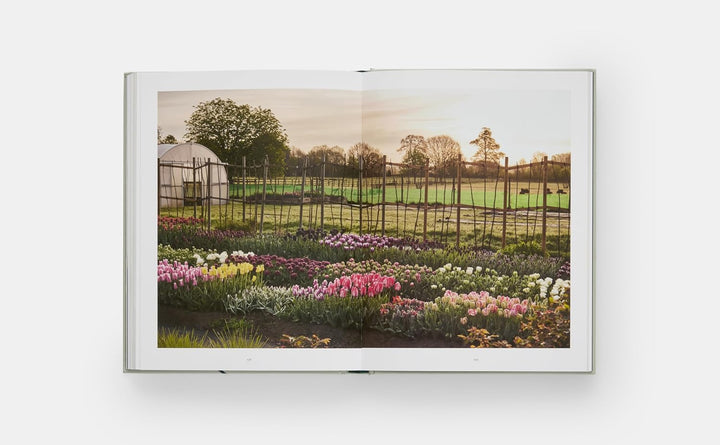 The Tulip Garden: Growing and Collecting Species, Rare and Annual Varieties Book