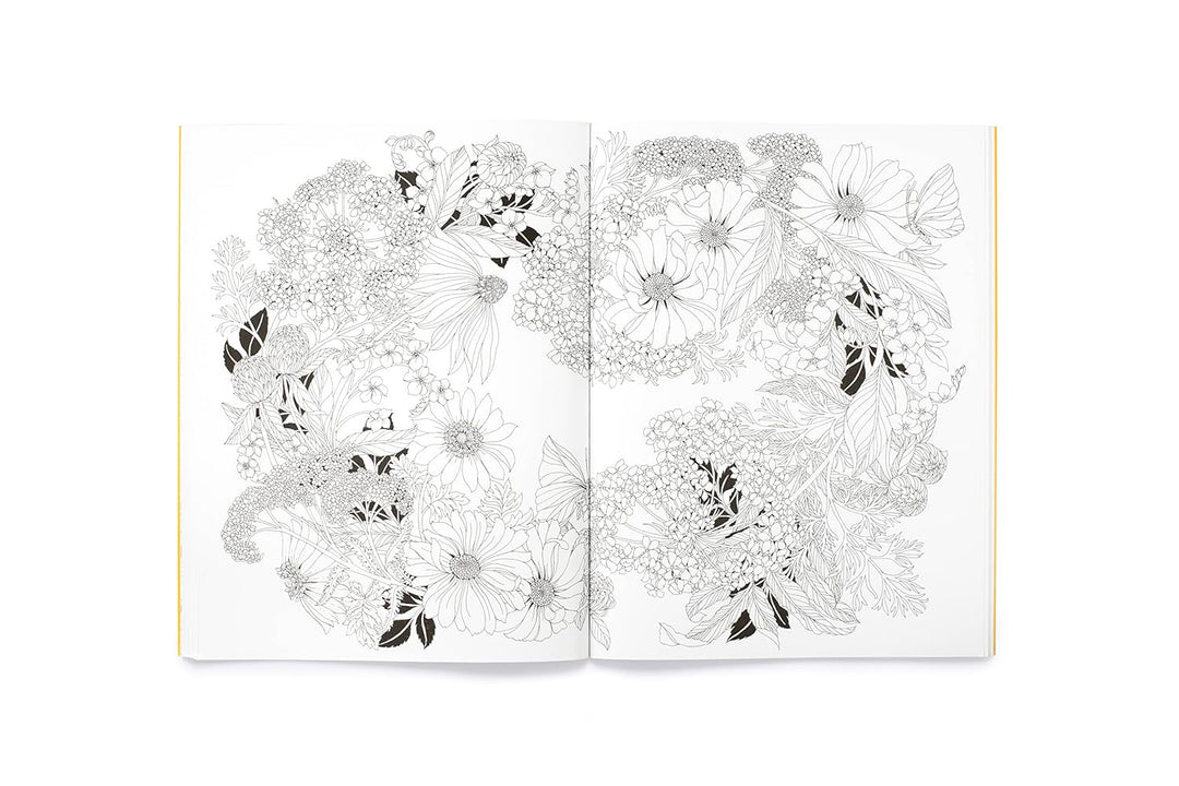 Leila Duly's Beautiful Planet: An Intricate Colouring Book