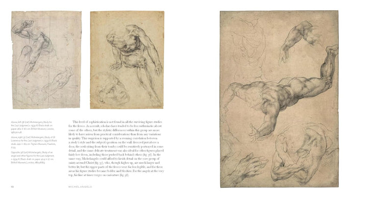 Michelangelo: the last decades Book