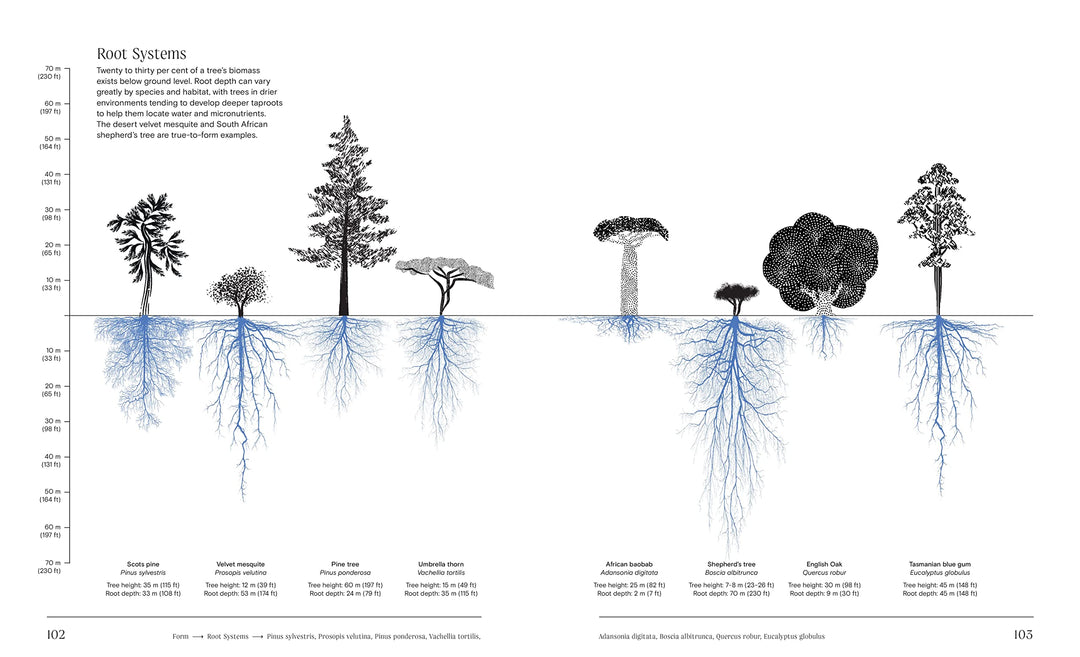 Trees: From Root to Leaf – A Financial Times Book of the Year Book